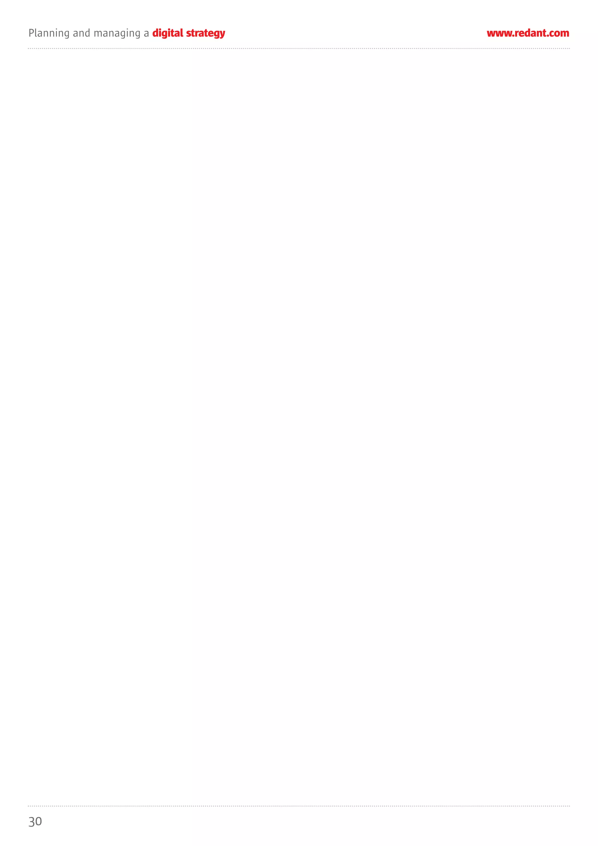 Planning and managing a digital strategy   www.redant.com




30
 