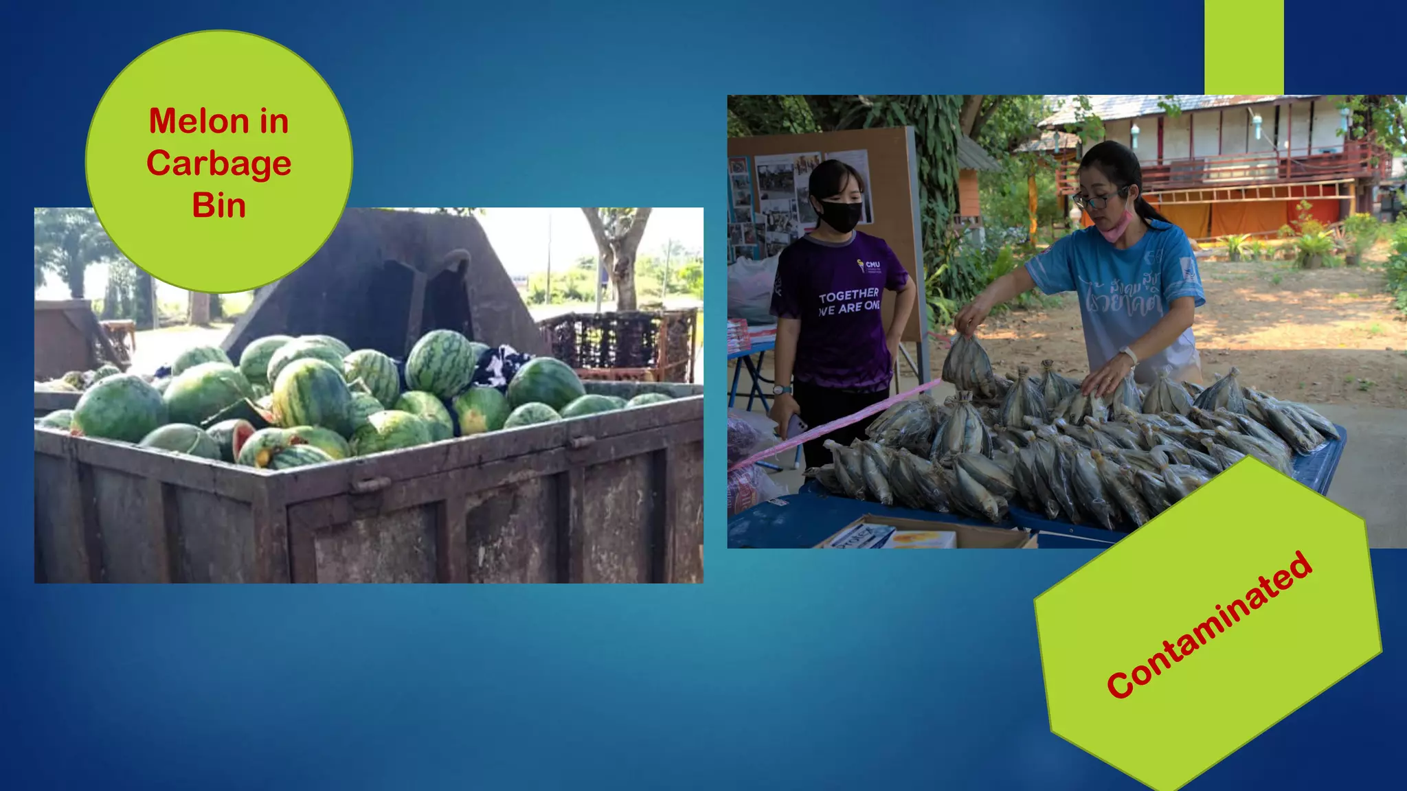 Melon in
Carbage
Bin