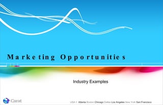 Marketing Opportunities Industry Examples 