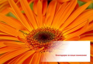 Благодарю за ваше внимание
 