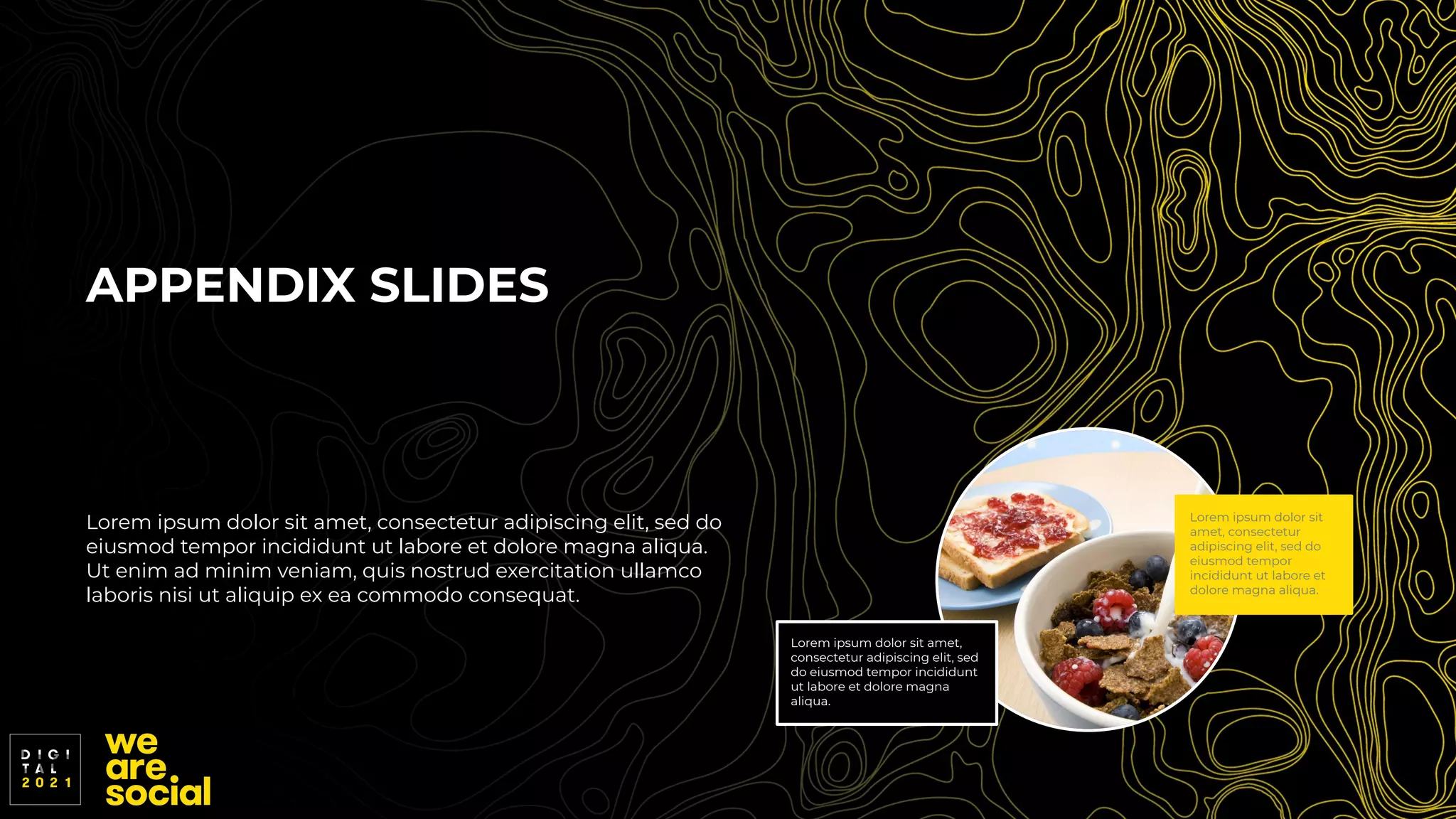 APPENDIX SLIDES
Lorem ipsum dolor sit amet, consectetur adipiscing elit, sed do
eiusmod tempor incididunt ut labore et dolore magna aliqua.
Ut enim ad minim veniam, quis nostrud exercitation ullamco
laboris nisi ut aliquip ex ea commodo consequat.
Lorem ipsum dolor sit amet,
consectetur adipiscing elit, sed
do eiusmod tempor incididunt
ut labore et dolore magna
aliqua.
Lorem ipsum dolor sit
amet, consectetur
adipiscing elit, sed do
eiusmod tempor
incididunt ut labore et
dolore magna aliqua.
 