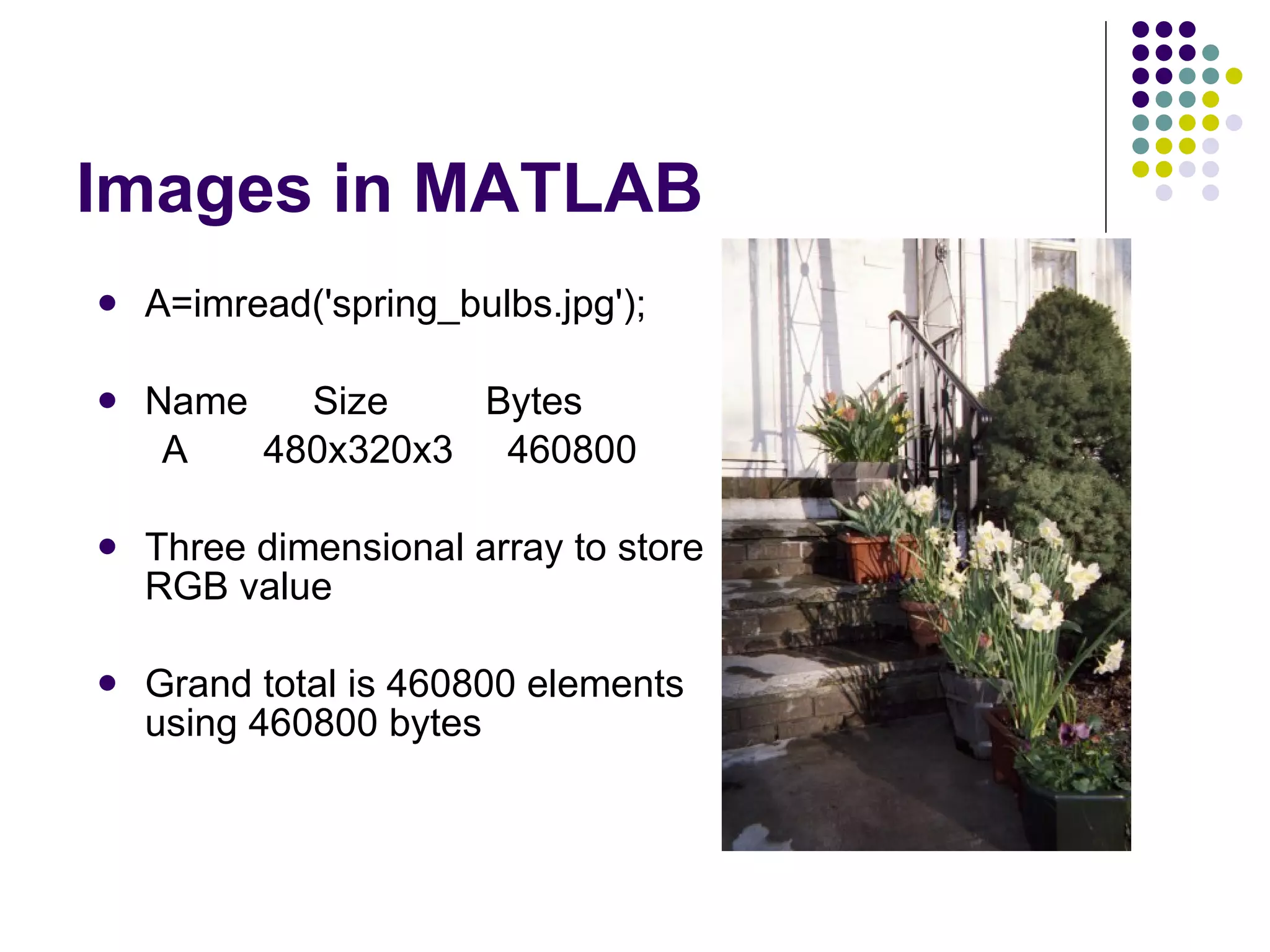 Images in MATLAB A=imread('spring_bulbs.jpg'); Name  Size  Bytes  A  480x320x3  460800  Three dimensional array to store RGB value Grand total is 460800 elements using 460800 bytes 