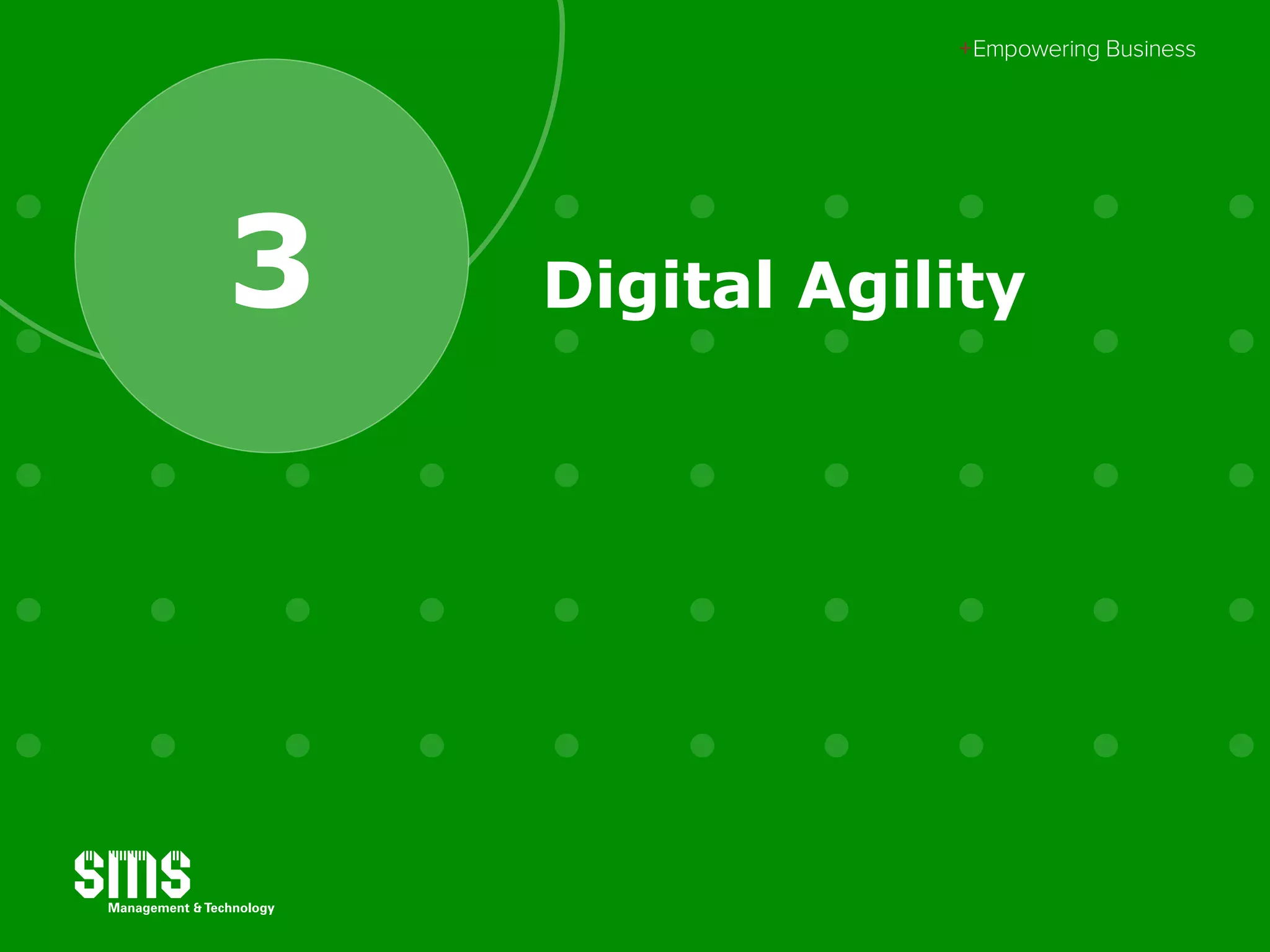 Digital Agility3
 