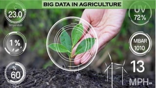 21
BIG DATA IN AGRICULTURE
21
 