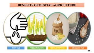 BENEFITS OF DIGITALAGRICULTURE
INPUT HUB PRODUCTION HUB POST HARVEST HUB CONSUMER HUB
50
 