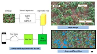 Perception of Weed Detection System
Input Image
Generated Weed Map 68
 