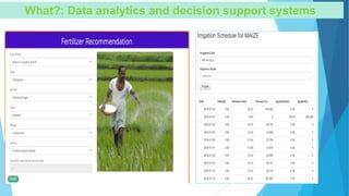 What?: Data analytics and decision support systems
 