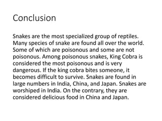 Conclusion
Snakes are the most specialized group of reptiles.
Many species of snake are found all over the world.
Some of which are poisonous and some are not
poisonous. Among poisonous snakes, King Cobra is
considered the most poisonous and is very
dangerous. If the king cobra bites someone, it
becomes difficult to survive. Snakes are found in
large numbers in India, China, and Japan. Snakes are
worshiped in India. On the contrary, they are
considered delicious food in China and Japan.
 