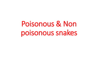 Poisonous & Non
poisonous snakes
 