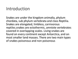 Digital album | PDF | Reptiles | Pets