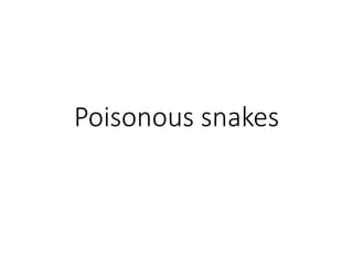 Poisonous snakes
 