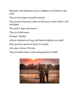 Mammals with proboscis such as elephant are included in this
order
They are the largest terrestrial animals
They possess long tusks either on both jaws, molar teeth is well
developed
The skull is large and massive
They are herbivorous
Example: Elephas
African elephants are large and Indian elephants are small
More gestation period of about 22 months
Life span is about 150 years
They are herbivorous in diet and gregarious in habit.
 