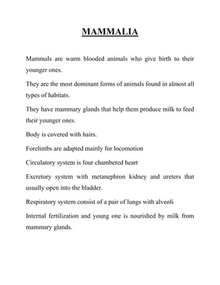 MAMMALIA
Mammals are warm blooded animals who give birth to their
younger ones.
They are the most dominant forms of animals found in almost all
types of habitats.
They have mammary glands that help them produce milk to feed
their younger ones.
Body is covered with hairs.
Forelimbs are adapted mainly for locomotion
Circulatory system is four chambered heart
Excretory system with metanephron kidney and ureters that
usually open into the bladder.
Respiratory system consist of a pair of lungs with alveoli
Internal fertilization and young one is nourished by milk from
mammary glands.
 