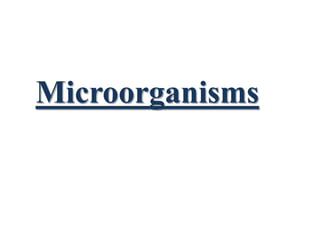Microorganisms
 