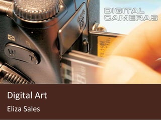 Digital Art
Eliza Sales
 