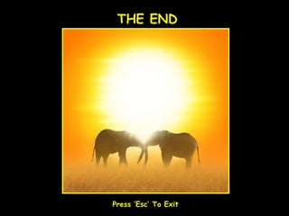 THE END Press ‘Esc’ To Exit 