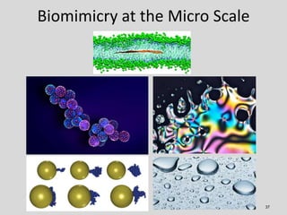 Biomimicry at the Micro Scale




                                37
 