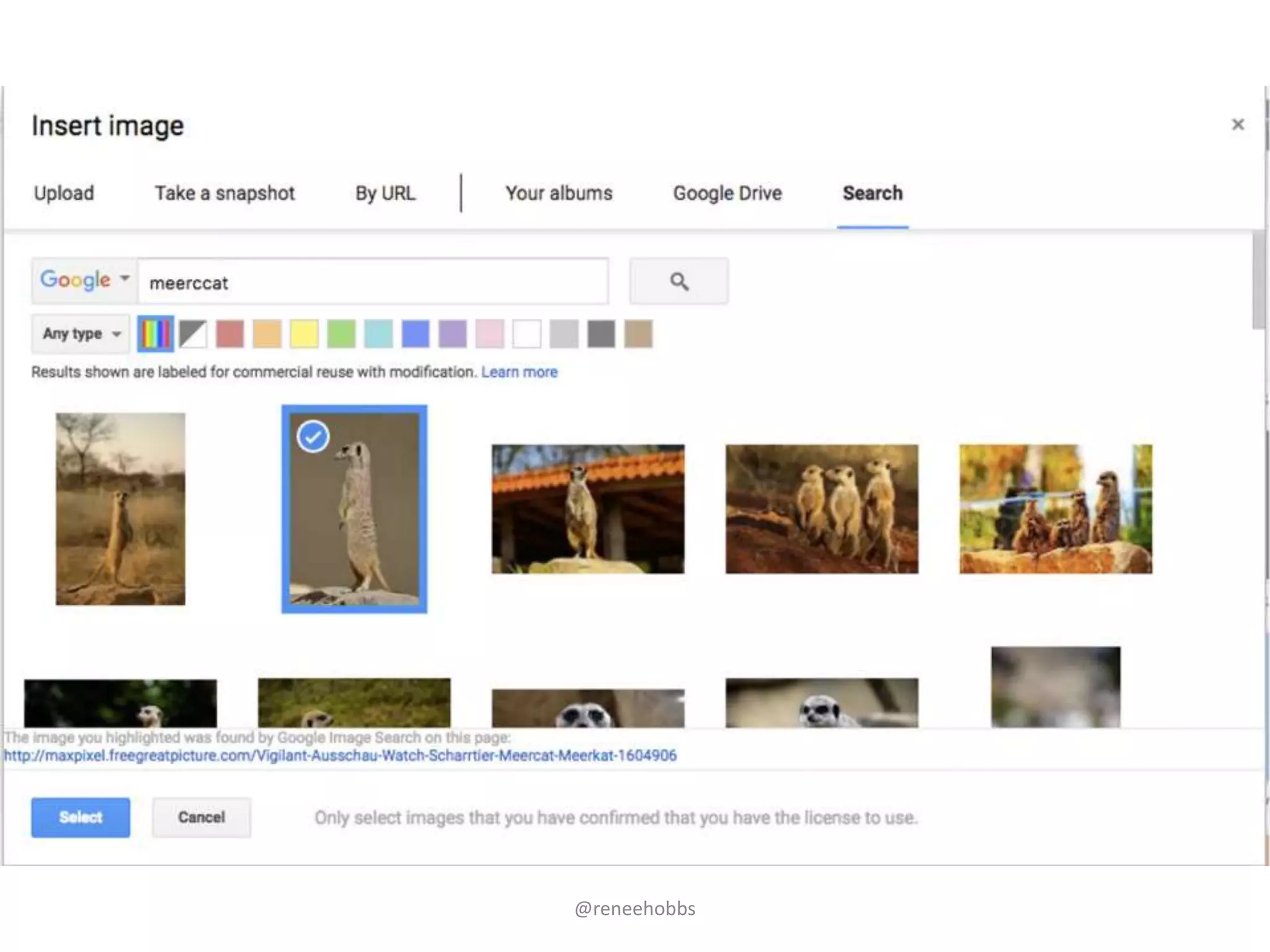 Digital Authorship & Media Literacy