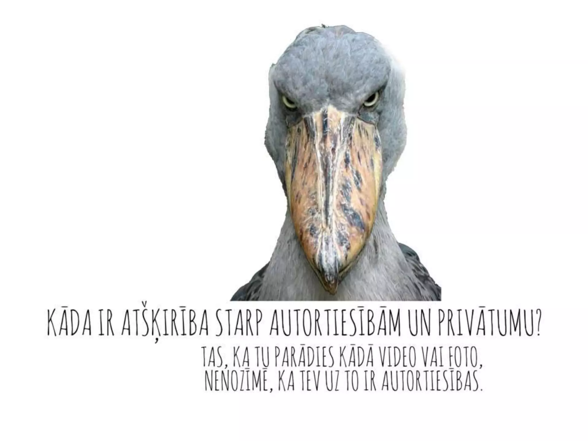 Autortiesības Youtube.com