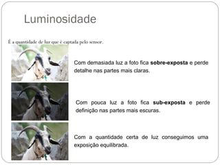 Luminosidade
É a quantidade de luz que é captada pelo sensor.


                                 Com demasiada luz a foto fica sobre-exposta e perde
                                 detalhe nas partes mais claras.




                                 Com pouca luz a foto fica sub-exposta e perde
                                 definição nas partes mais escuras.



                                 Com a quantidade certa de luz conseguimos uma
                                 exposição equilibrada.
 