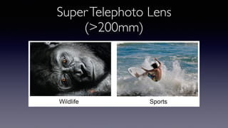 SuperTelephoto Lens
(>200mm)
 