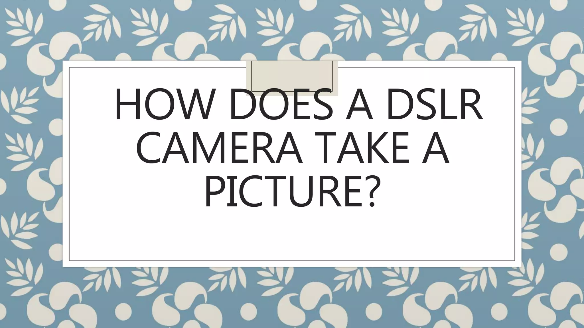 HOW DOES A DSLR
CAMERA TAKE A
PICTURE?
 