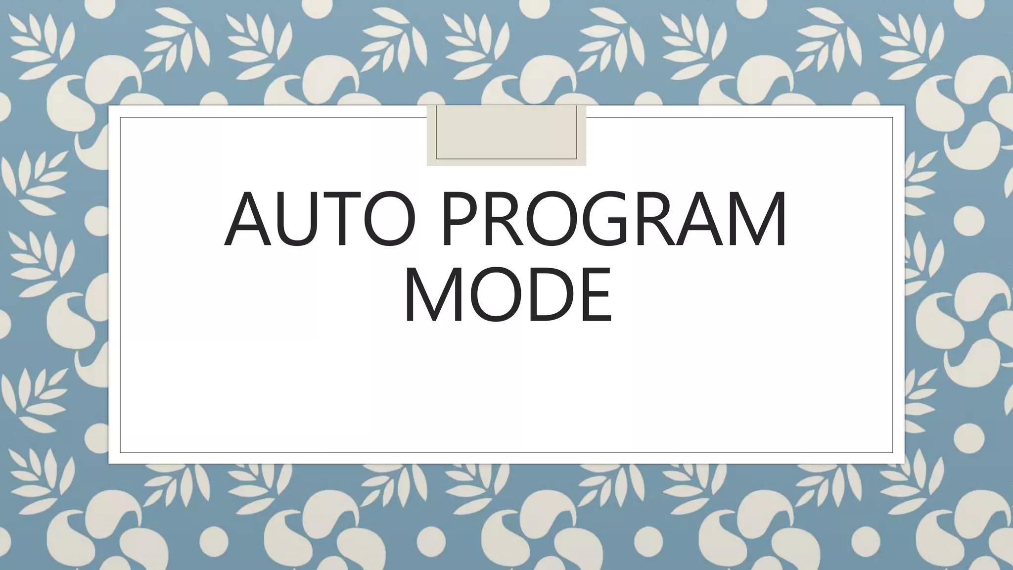AUTO PROGRAM
MODE
 
