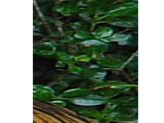 Digital camera ideas