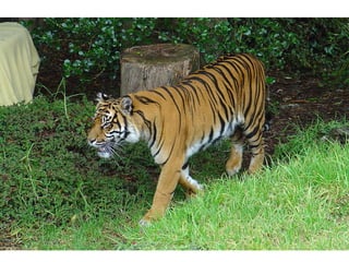 Digital camera ideas