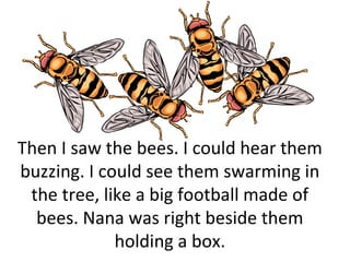 Then I saw the bees. I could hear them
buzzing. I could see them swarming in
 the tree, like a big football made of
  bees. Nana was right beside them
             holding a box.
 