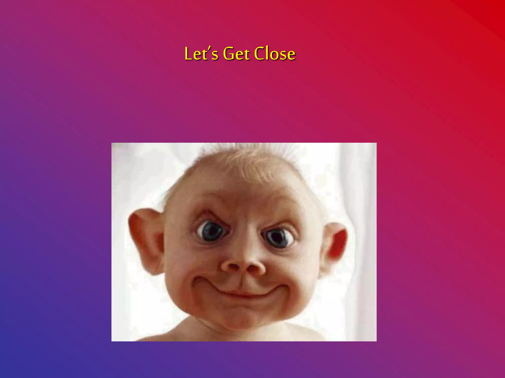 Let’s get real close!
Let’s Get Close
 