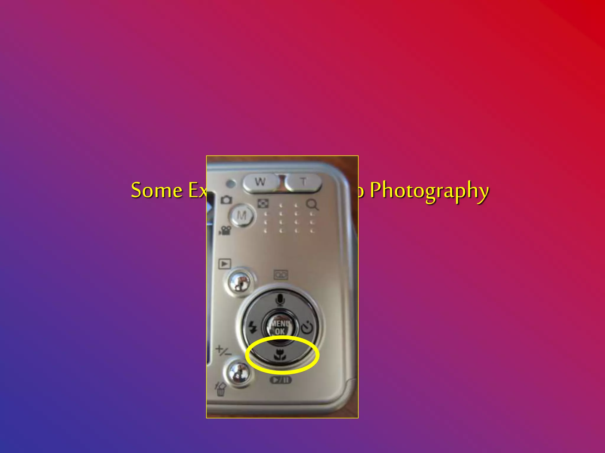 Some Examplesof Macro Photography
 