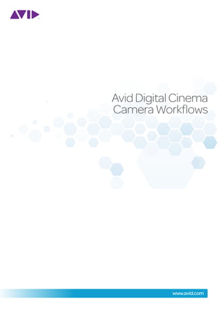 Avid Digital Cinema
Camera Workflows




            www.avid.com
 