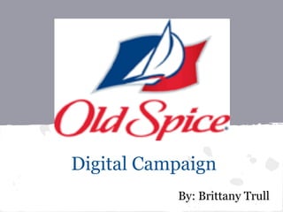 Digital Campaign
           By: Brittany Trull
 