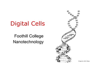 Digital Cells  Foothill College Nanotechnology  Image by John Alsop 