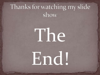 Thanks for watching my slide showTheEnd!