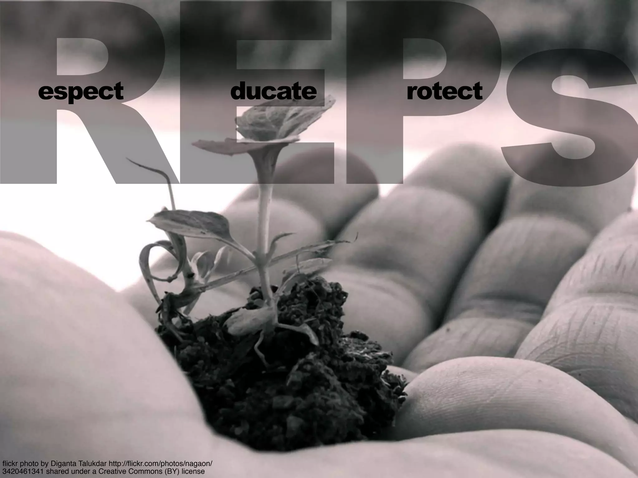 REPs
ﬂickr photo by Diganta Talukdar http://ﬂickr.com/photos/nagaon/
3420461341 shared under a Creative Commons (BY) license
espect ducate rotect
 