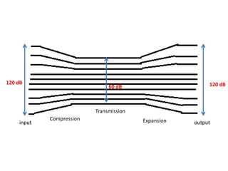120 dB                                                    120 dB
                               60 dB



                          Transmission
            Compression                  Expansion
    input                                            output
 