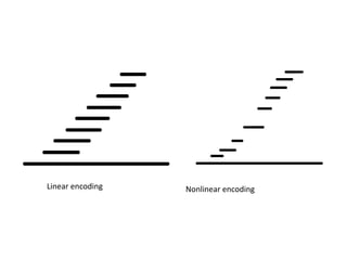 Linear encoding   Nonlinear encoding
 