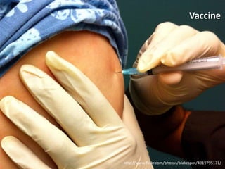 Vaccine




http://www.flickr.com/photos/blakespot/4919795171/
 