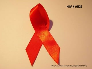 HIV / AIDS




http://www.flickr.com/photos/anqa/2381378762/
 