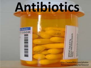 Antibiotics


       http://www.flickr.com/photos
       /hmocopymonkey/167932237
 