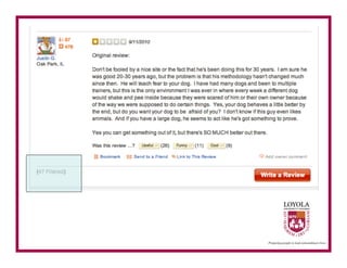 Yelp reviews	

 