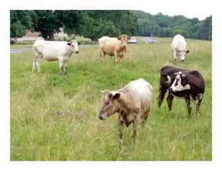 The tragedy of the commons	

 