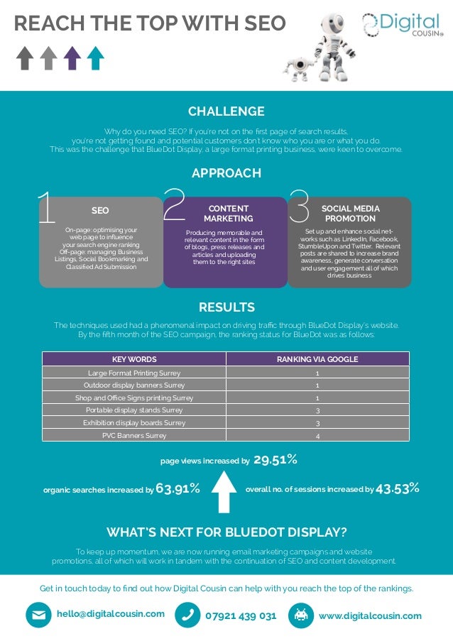 Digital Cousin Case Study Blue Dot