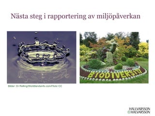Nästa steg i rapportering av miljöpåverkan




Bilder: Dr Relling/Worldlandsinfo.com/Flickr CC
 