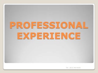 PROFESSIONAL
 EXPERIENCE


        Tel.: (813) 443-6636
 