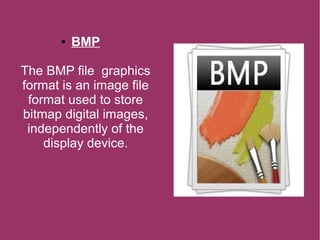 ● BMP
The BMP file graphics
format is an image file
format used to store
bitmap digital images,
independently of the
display device.
 