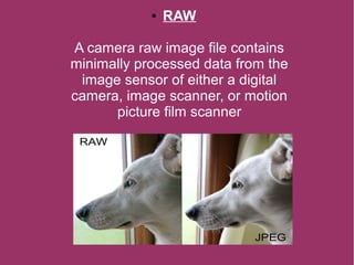 ● RAW
A camera raw image file contains
minimally processed data from the
image sensor of either a digital
camera, image scanner, or motion
picture film scanner
 