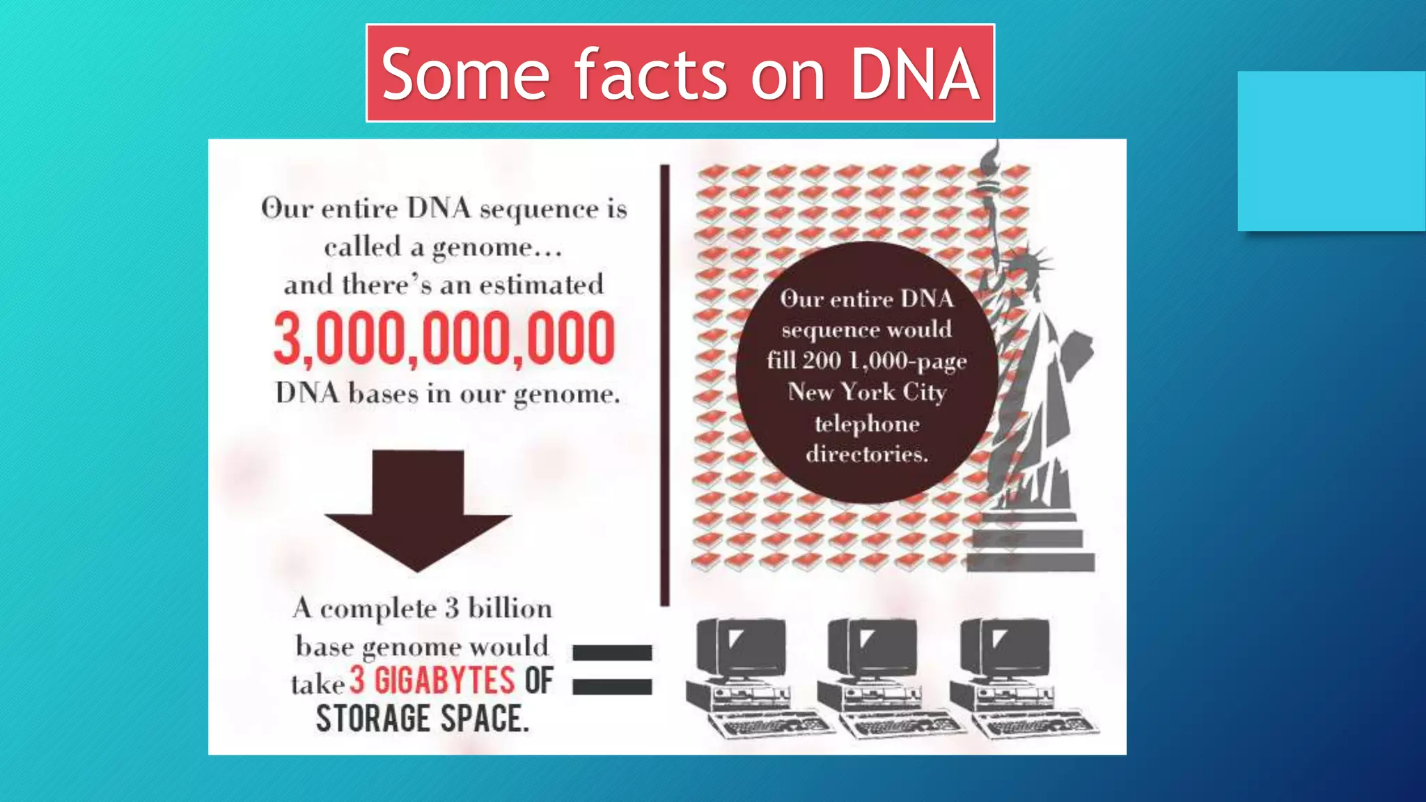 Some facts on DNA
 